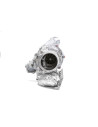 TTE700 2.5TFSI TTRS RS3 Upgrade Turbolader Audi RSQ3 - TTE700 - 5
