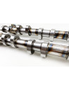 2.0 TFSI EA113 Schrick 256 / 252 Hydro Nockenwellen 0467E1561-00E 0467A1521-01A - 18268260 - 2