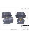 Tial MV-R 44mm Wastegate Wassergekühlt V-Band MVR - MV-R - 5