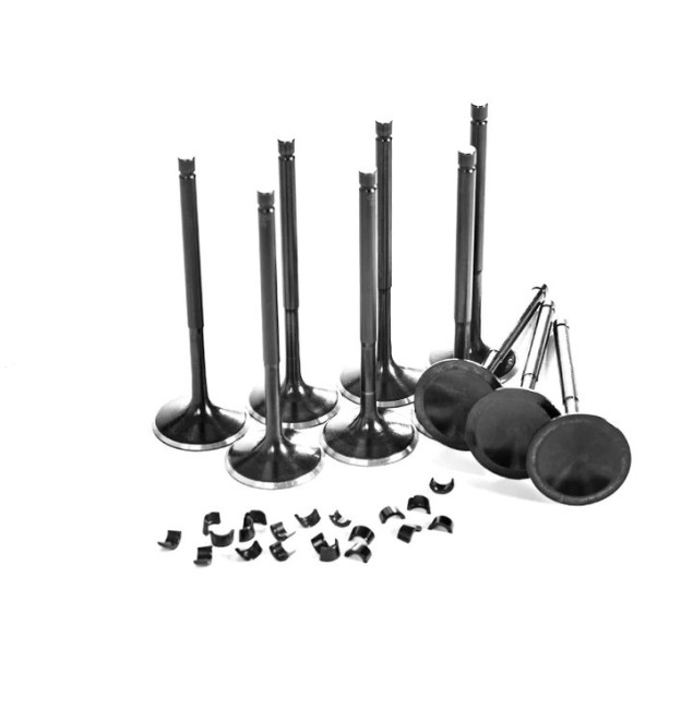 VR6 12V Black Nitrided Intake Valve Set Supertech AAA ABV Golf 3