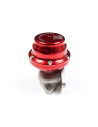 Tial F38 Wastegate