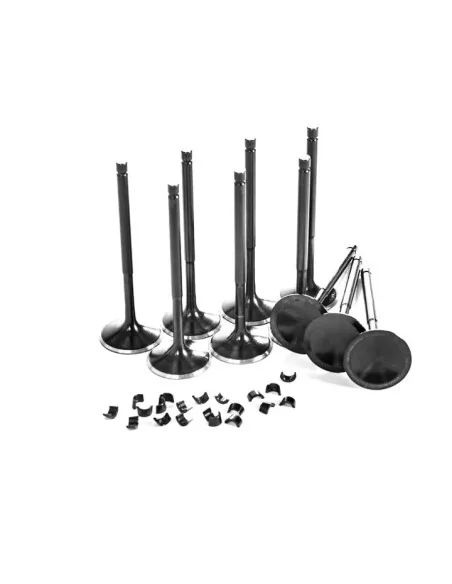 Supertech Black Nitrided Ventilset Ford 2.3l 16V EcoBoost