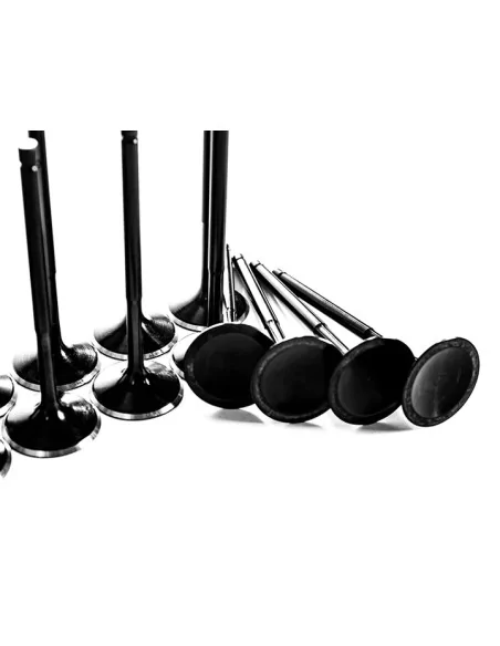 Supertech Black Nitrided Ventilset Ford 2.3l 16V EcoBoost
