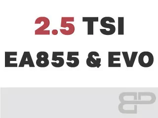 2.5 TFSI EA855 TTRS RS3