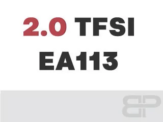 2.0 TFSI EA113